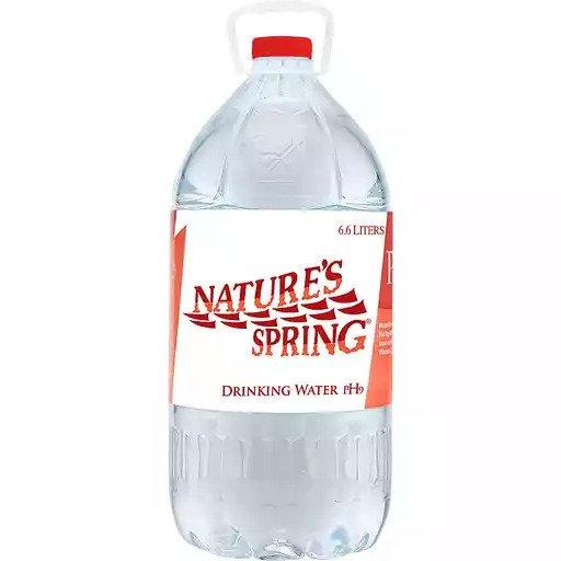 Nature's Spring Alkaline Water - 6L